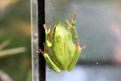 Killikus&reg; Fotographie